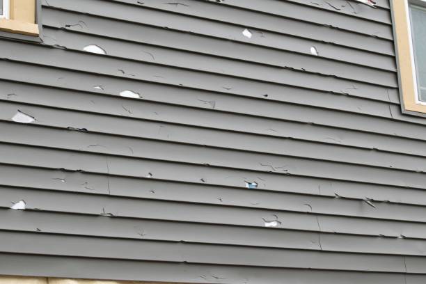Best Shed Removal  in North Druid Hills, GA
